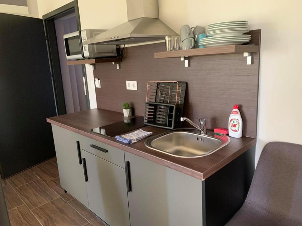 Balkon Apartmanhaz Panzio バラトンフレド エクステリア 写真